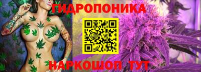индика Кумертау