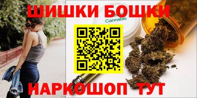 крисы Кулебаки