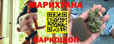 крисы Кулебаки