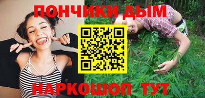 крисы Кулебаки