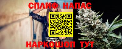 крисы Кулебаки
