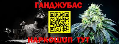 крисы Кулебаки