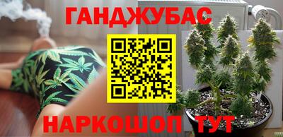 крисы Кулебаки